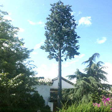 15m 35m Pine Tree Cell Phone Tower Camouflaged Communication