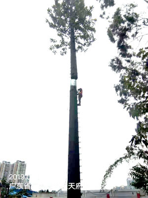 15m 35m Pine Tree Cell Phone Tower Camouflaged Communication