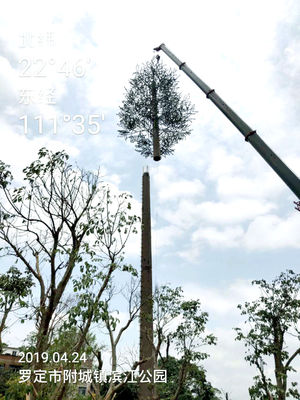 15m Artificial Pine Tree Camouflaged Cell Towers Galvanized Steel Trunk