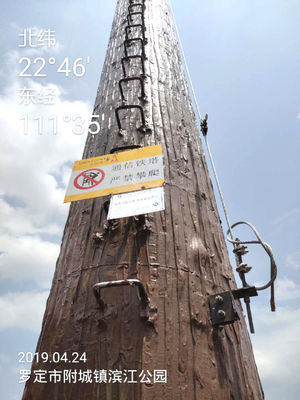 15m 35m Pine Tree Cell Phone Tower Camouflaged Communication